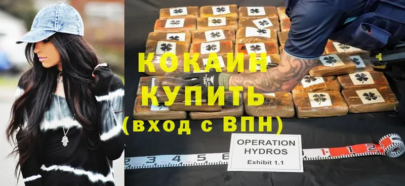 Кокаин Fish Scale  hydra маркетплейс  Карачев  продажа наркотиков 